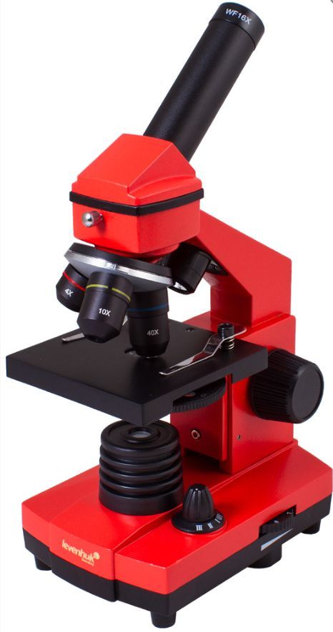 Микроскоп LEVENHUK RAINBOW 2L PLUS ORANGE\Апельсин
